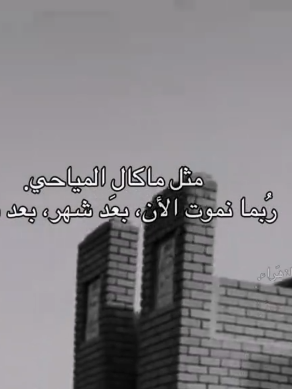 قريباً سنمَوت.  #ياعلي_مولا_عَلَيہِ_السّلام #السيده_زينب 