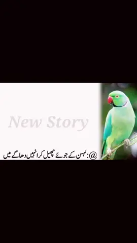 #foryoupage❤️❤️ #viralvideo #foryou #foryoupage❤️❤️ 