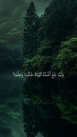 #CapCut قران الكريم بصوت جميل جداً #الله_اكبر #صلوا_على_رسول_الله #الحمدالله_علی_کل_حال❤ #قران_كريم 