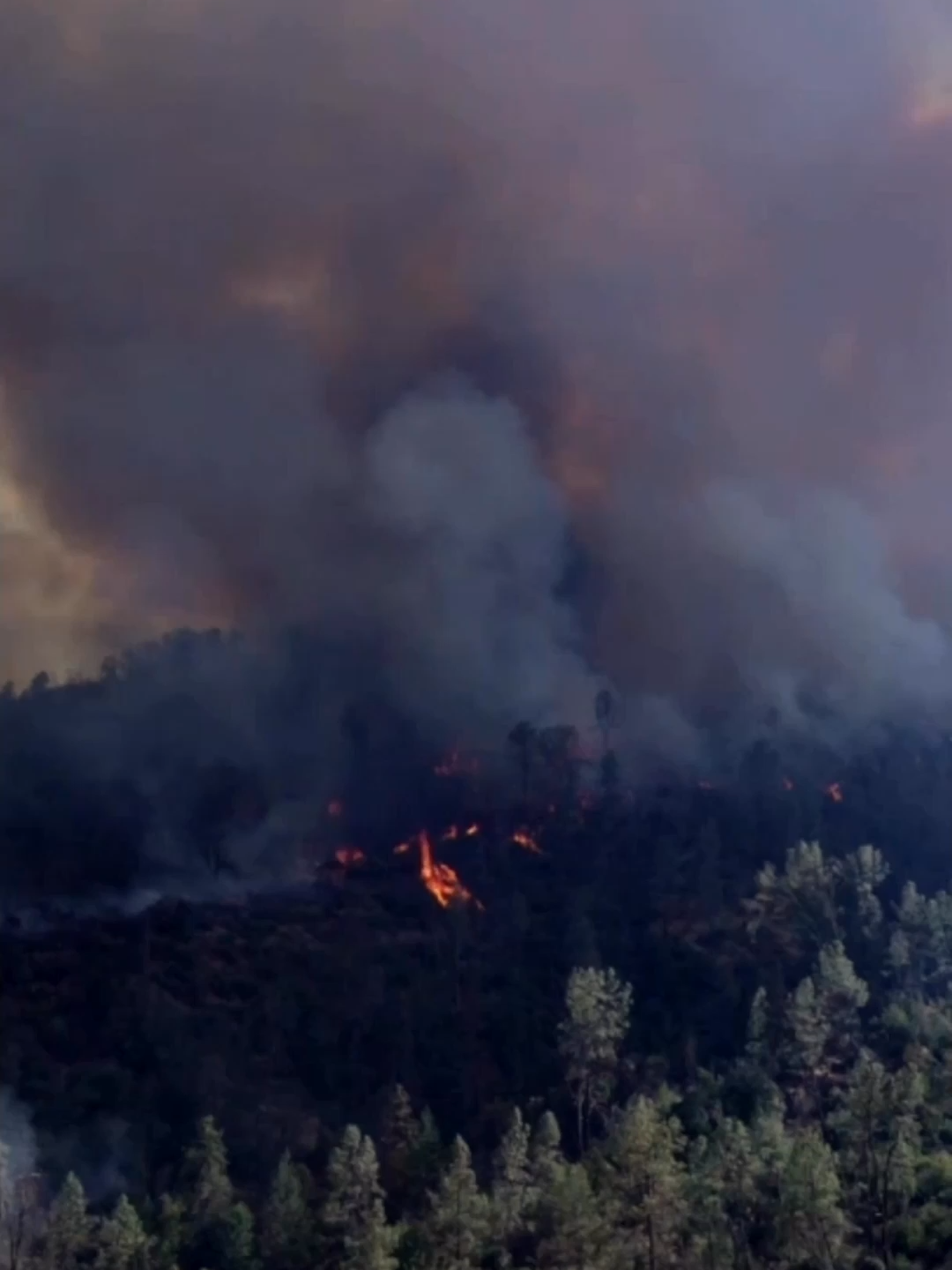 Dangerous wildfires are raging in Northern California, with the Pickett Fire scorching more than 6,800 acres of the state's wine country. Firefighters are battling to bring the blaze under control. What You Need to Know is now streaming exclusively on DisneyPlus.