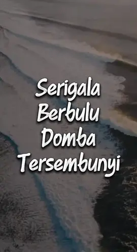 Serigala Berbulu Domba Tersembunyi  #kajiansunnah #dakwah #fyp 