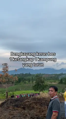 Dompeng solidaritas 