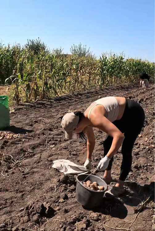 #трактористка #трактор #агро #agrogirl #фермер  