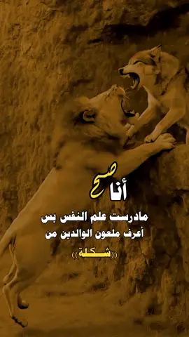 مساء الخير 😴🖤  #عبارات #CapCut  #تصميم_فيديوهات🎶🎤🎬 