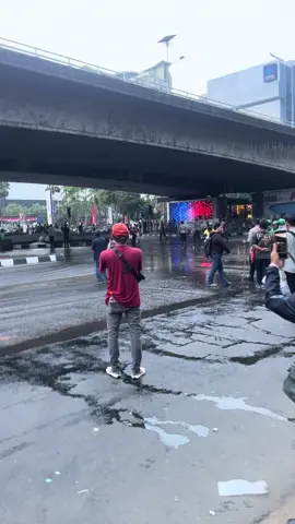 Ricu tak terbendung demo DPR-RI 