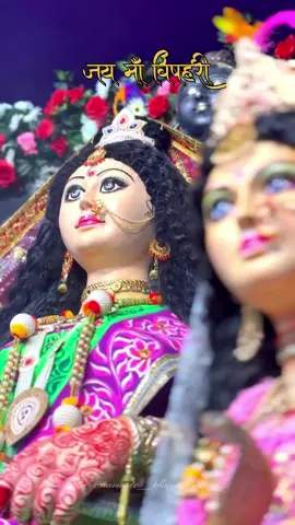 #मातारानी #जय_माता_दी♥️ #जयमाँमहाकाली #जयमादुर्गा🙏 