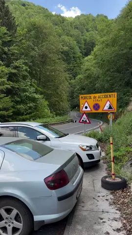 animales sueltos en la carretera #Asturiases #reencuentro #ParaísoNatural #Vacaciones ##Vacaciones 