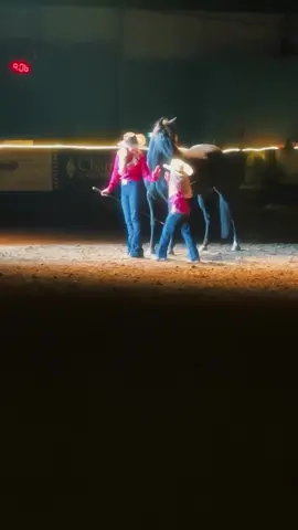Thank you Niki for having me play and work alongside you and your incredible horses for well over a decade. Last nights Heart of the Horse performance was a dream, and I was so honoured to be a part of it. Also, thank you to my little helper Sydney!! You inspire young girls to follow their dreams! And thank you to everyone who came out to celebrate the magic of horses!