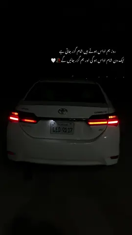 شام اداس ہو گی 🥀🤍 #foryou #viral #foryoupage❤️❤️ #foryoupage #unfrezzmyaccount 