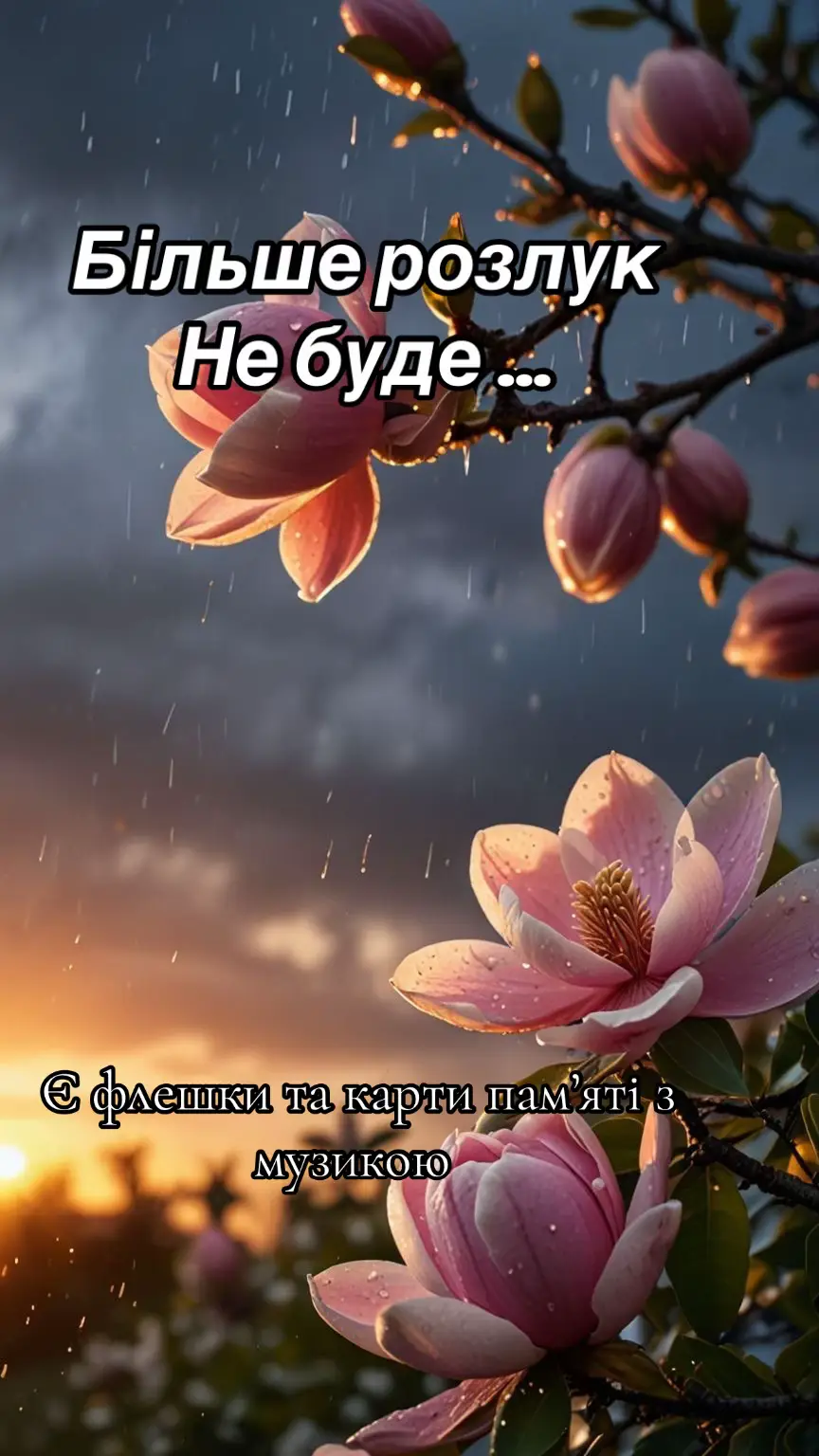 є ФЛЕШКИ та карти пам'яті з музикою 💛💙 #народніпісні  #українськіпісні  #українськівесільніпісні #музикадлядуші #рекомендації