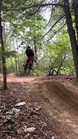 Loving the bbr swing arm so far  #bbrswingarm #crf110 #fypシ #foryou #viral 