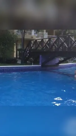 Unlucky bird #bird #pet #fyp #foryou #animals #funnyvideos #pets #cute 