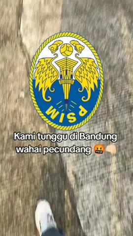 Sampai ketemu di Bandung wahai pecundang yang berani nya main kroyokan #psimjogja #persibbandung #persib #persibjuara #persibday 