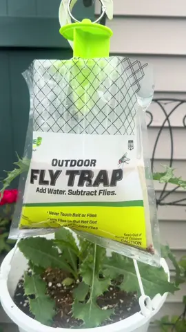 Fly bag #fyp #flytraps #flybags #viral #Outdoors 