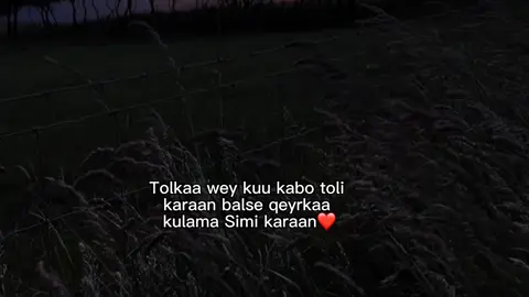 Ruuxdaa Ada ka mUsuL Ah❤️👍🏿 #hanatt_said #owl 
