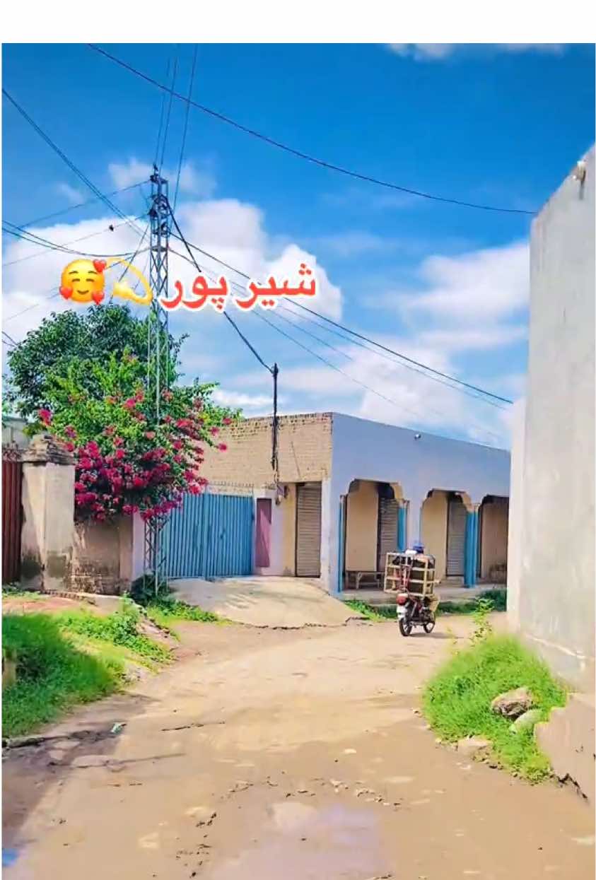 شیر پور 💫🥀#fyp #foryou #foryoupage #azharmarth7 #viewproblem 
