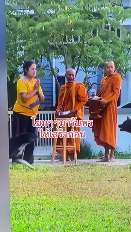 #ใส่บาตร #ใส่บาตรตอนเช้า #โยมกลับมารับพรให้เสร็จก่อนอาตมาจะรีบกลับวัด
