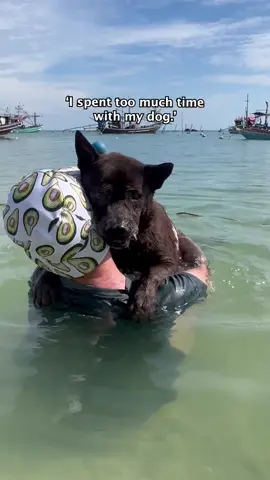 Sandy paws. Salty kisses. Endless love. Here’s to the memories our dogs give us that last a lifetime.🩵 #streetdogs #dogrescue #dogsoftiktok #dogsofthailand 