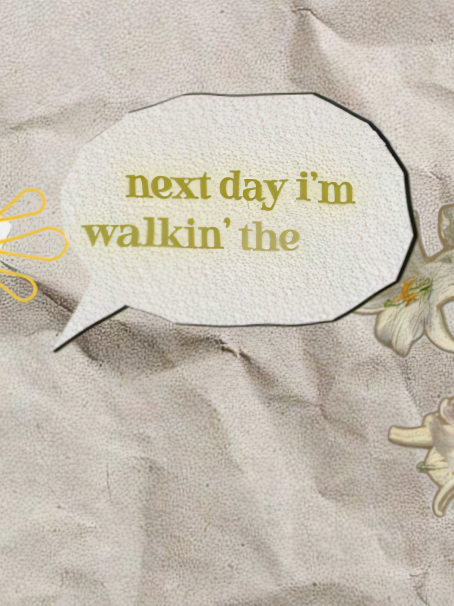 my first #MOGRAPH edit... #wifiskeleton #monograph #typography #song #songedit #wifiskeletonedit