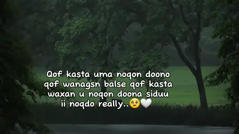 really🥹 #fouryou #fyp #fouryoupage_tiktok_ #views 