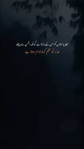 🥵🔥☠️۔ ۔ ۔ ۔ #yahooo___🤟💟 #villainboy8 #carlovers #attitudelines #plztiktokteamdontunderriviwemyaccount #creatorsearchinsights 