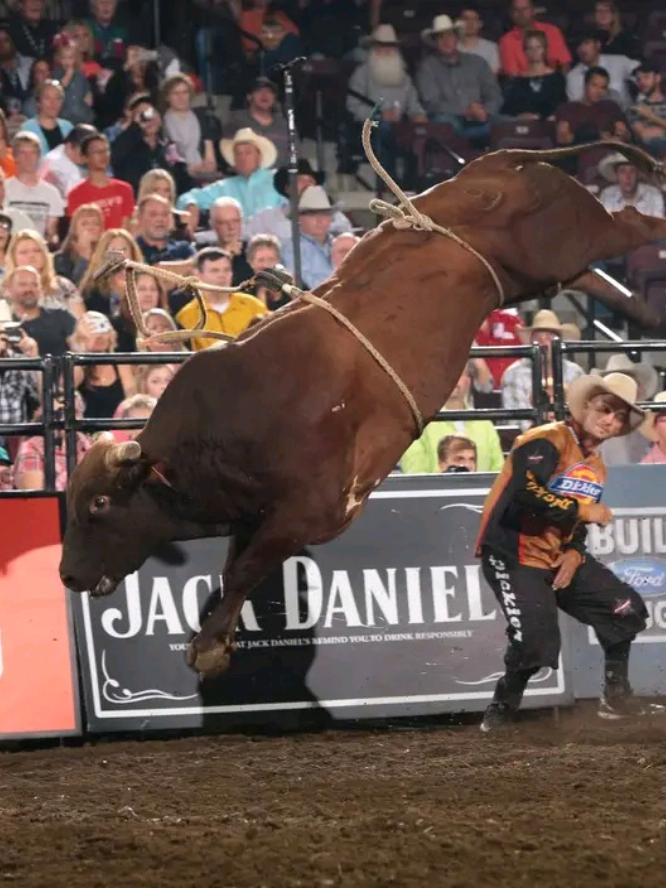 Top Bull: Stone Sober 💀🧬🇺🇸 vs Renato Nunes 🧬🇧🇷🏆☠️ #fy #pbr #monterenergy #rodeo #bullriding 