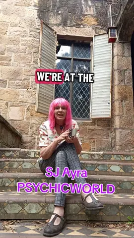 SJ Ayra Psychicworld. Collective quick read at a Castle. #dogsoftiktok #loveyou #spirituality #dogsoftiktok 