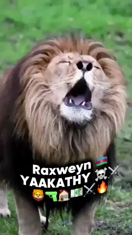 Salaan sharaf iga gudoma rer intano rer BaTAHY adiga ⚔️☠️🫵🔥🔫.RRA🇦🇿⚔️🔥