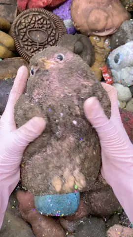 CLEANING SQUISHY ASMR🐤🐤Chicks#asmr