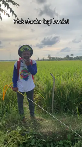 Lagi beraksi memburuu hama walang sangit #fypシ゚viral #viraltiktok #fypシ #jangkauanluas #petanimuda 