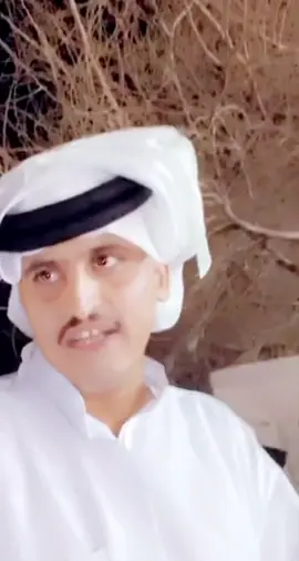 #قصايد_شعر_خواطر_شيلات_الاكسبلور #شيلات #اكسبلور 