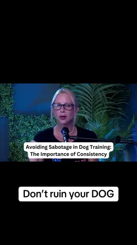 #fyp #dogtrainer #dogtrainingmadesimple 