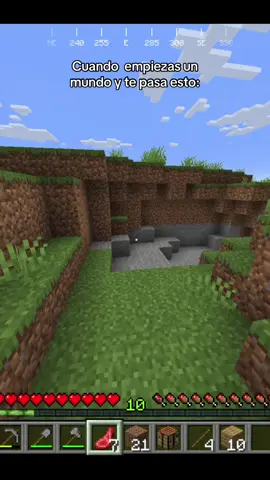 cuanto carbon💀#Minecraft #mina 
