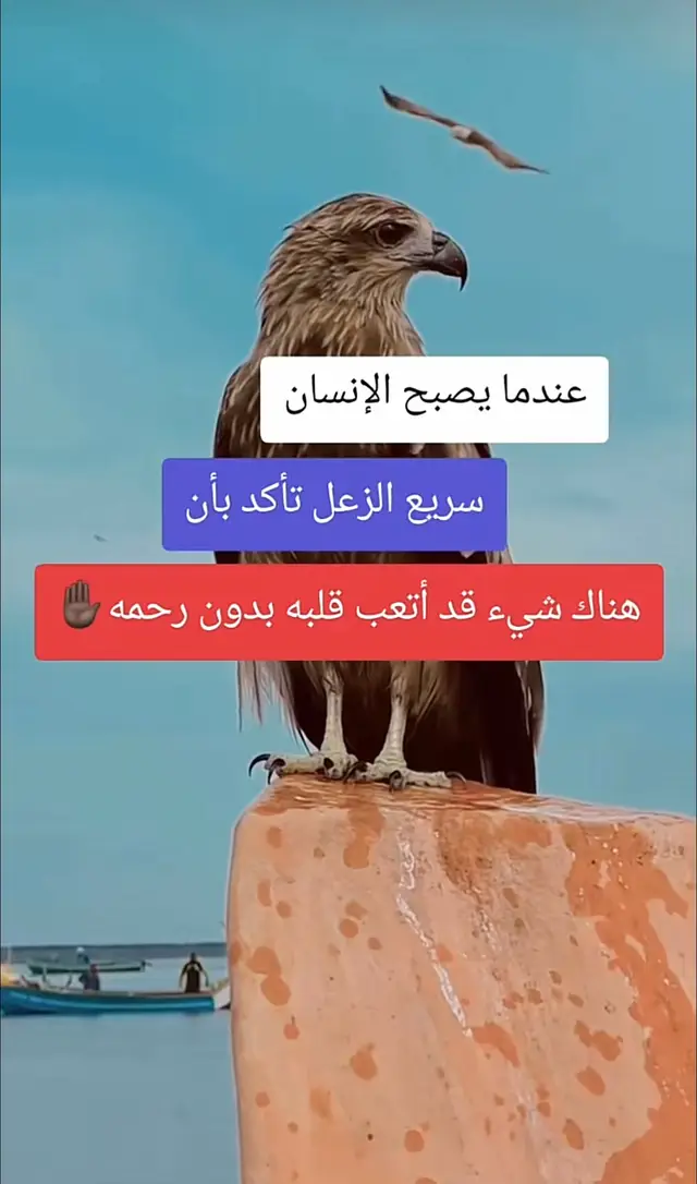 #اقتباسات_عبارات_خواطر🖤🦋❤️ #عبارات_جميلة_وقويه😉🖤 #عبارات_حزينه💔 #ذي_قار #قضاءالشطرة🌹💔 