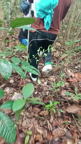 bismillah 🤲