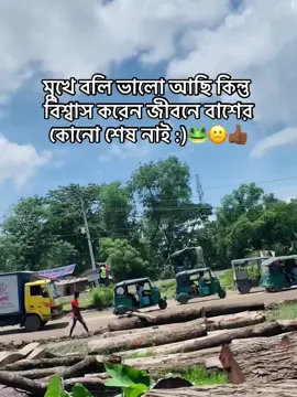 মুখে বলি ভালো আছি কিন্তু বিশ্বাস করেন জীবনে বাশের কোনো শেষ নাই :)🐸