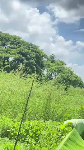 ♥️❤️💔😂😂 #Munshiganj#Best Weather#tik tok official#BD tik tok official#For You 