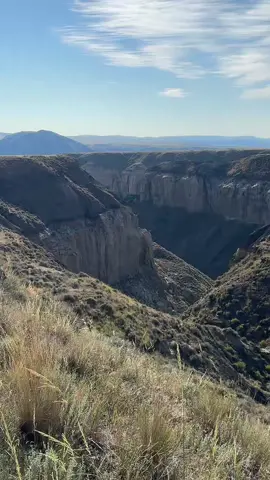 #montana 