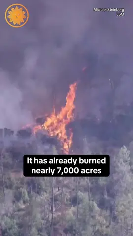 The Pickett Fire has burned nearly 7,000 acres in Northern California’s Napa Valley — and it’s only 11% contained. Evacuation alerts are in effect in parts of the county, which are no stranger to devastating wildfires. More than 2,000 personnel are assigned to this fire, including 205 engines, 65 bulldozers and 10 firefighting aircraft. The fast-moving fire comes as severe weather impacts cities across the West, including in Oregon and Nevada. #pickettfire #wildfires #napacounty #california
