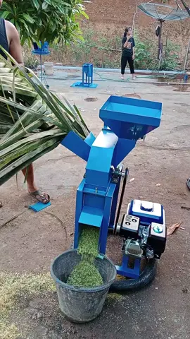 mesin cacah rumput multifungsi#peternaksapiindonesia #peternakkambingindonesia #coper 