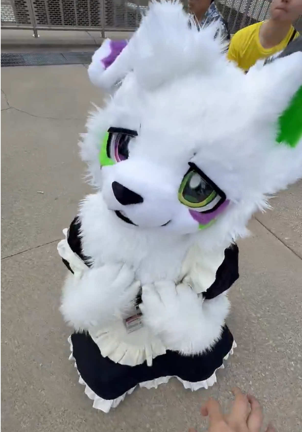You are so . . . Hmmm!!!! ( x: Chloris_Chen_ ) #furry #cute #fyp #fur #fursuit 
