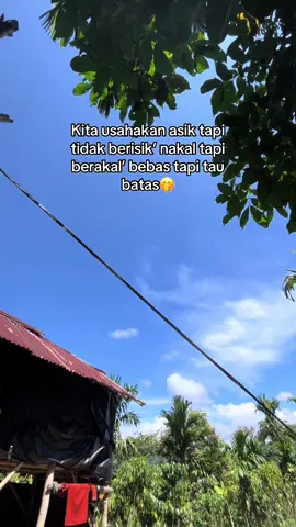 #fyp indah nya kebunku