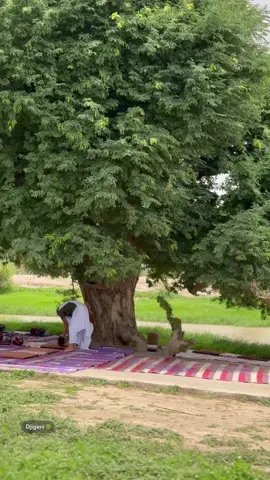 #خريف جيكني 2025