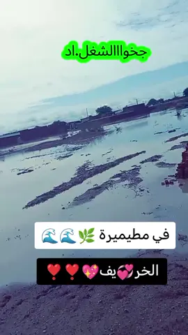 #جخو،الشغل،دا،يا،عالم،➕_❤_📝✌️🌍🦋 #مشاهير_تيك_توك_مشاهير_العرب 