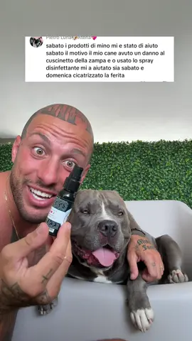Li trovate da arcaplanet.. la scelta è vostra 🥰