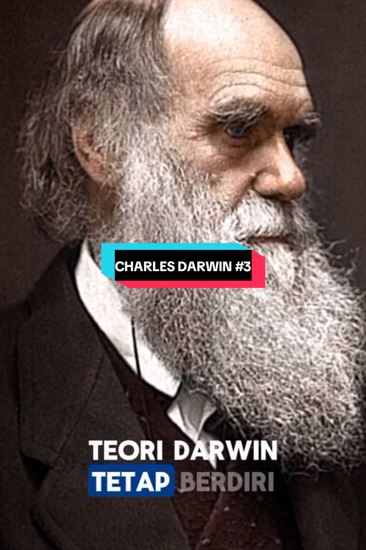 Membalas @yonzztyz Bagian 3 | Charles Darwin Teori seleksi alam yang bikin Darwin dipuja sekaligus dihujat. #CharlesDarwin #TeoriEvolusi #Fyp #Evolusi #SeleksiAlam 