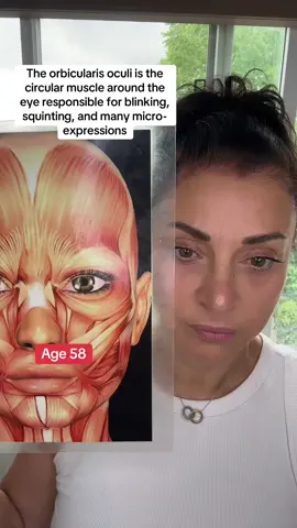 The orbicularis oculi is the circular muscle around the eye responsible for blinking, squinting, and many micro-expressions. Over time, when it stays tense or shortened (especially from squinting, stress, or repetitive expressions), it can cause: 	•	Crow’s feet (lateral wrinkles) 	•	Hollowing under the eye from muscle compression 	•	A heavy/tired look around the eyes.                                                         I use the FaceFit roller to massage and relax this muscle, it’s very effective for toning and lifting naturally. www.facefitcanada.com          #facefitroller #naturalbotox #lymphaticdrainage #slowdownaging #naturalfacelift 