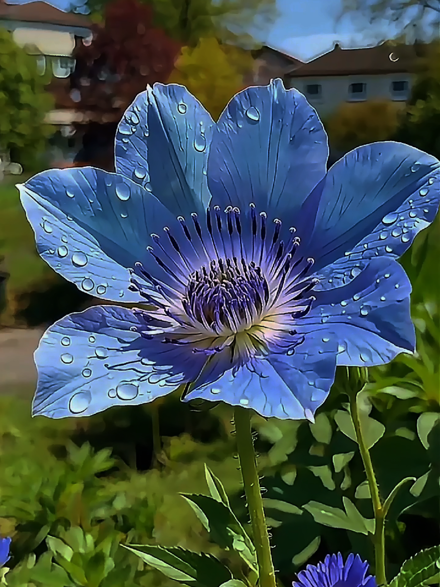 beautiful flowers bloom. beautiful colorful flowers  #flowers #beauty #bloom #aiart  #fyp 