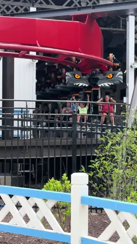 Scared the breath right out of her! #rollarcoaster #buschgardens #asthma #sundayfunday #weekend She was ok and ended up liking the big bad wolf! 🐺 