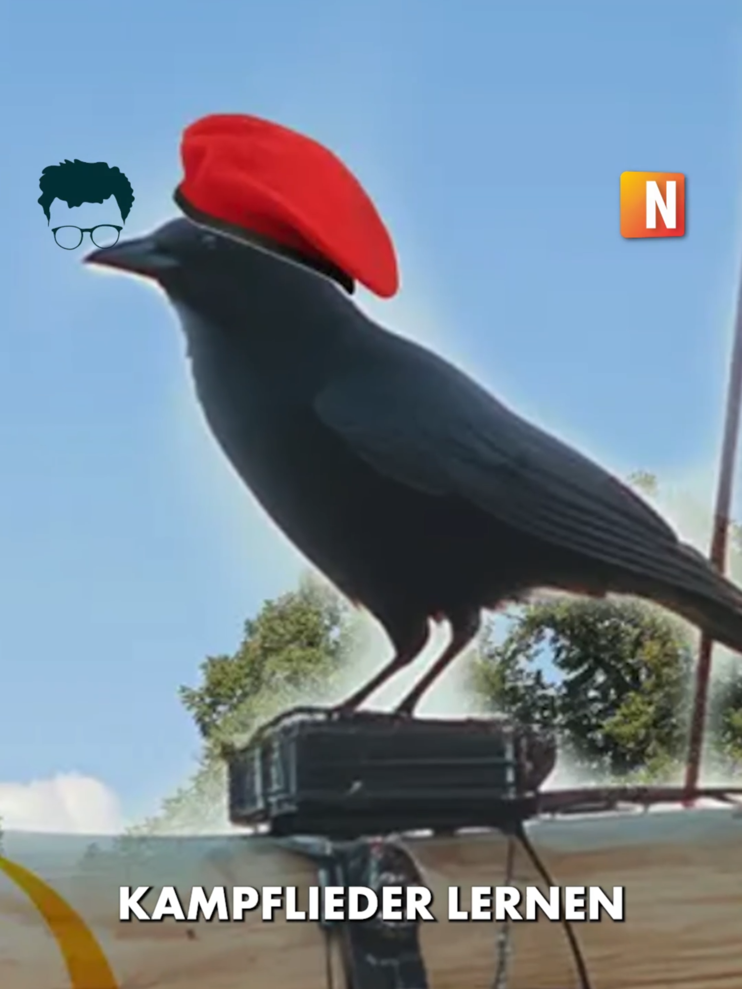 Vögel gegen rechts! 📣🐦‍⬛ In Karlsruhe sollen Vögel jetzt antifaschistische Lieder lernen und singen, indem man sie ihnen vorspielt. #NIUS